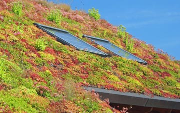 Hauxton living roof systems